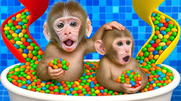 KiKi Monkey bath with Baby Monkey in Rainbow Bathtub with full of M&M Candy | KUDO ANIMAL KIKI