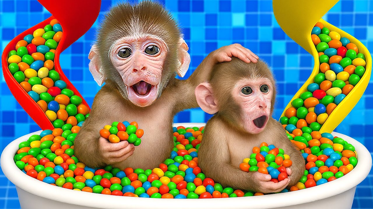 KiKi Monkey bath with Baby Monkey in Rainbow Bathtub with full of M&M Candy | KUDO ANIMAL KIKI