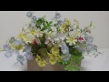 「新曲」豆桜 城之内早苗 12/14日発売(cover)   ai