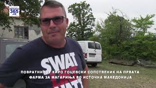 картинка: Сторија за Киро Гоцевски од с.Нов Истевник, сопственик на единствената фарма за магариња во Истокот