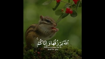 تلاوة هادئة تريح الأعصاب 😴🎧 | القاريء عبدالرحمن مسعد - سورة العنكبوت 🤍🌥️."