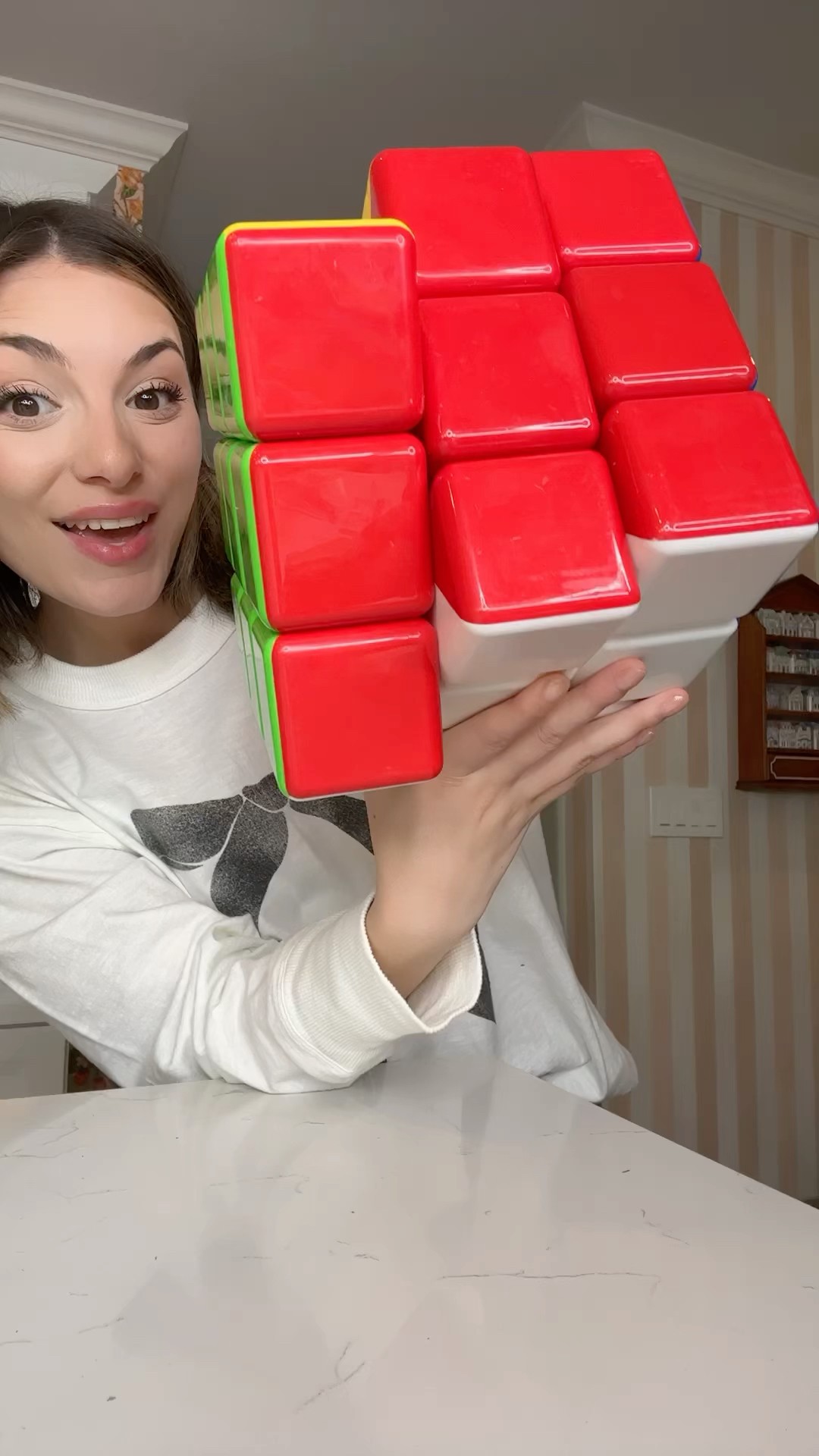 The Rubik’s cube challenge: Biggest, Smallest… Scariest! ???️ #wednesday #rubikscube