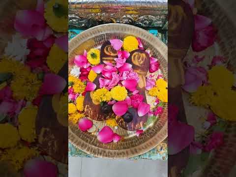 स्वामी चरण पादुका | अक्कलकोट समाधी मंदिर | #akkalkotswami #akkalkot #swamisamarth