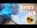 Ammonites - Barrys Block...