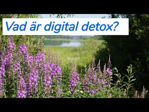 Video: Vad är Digital Detox