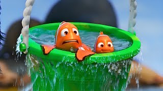 ملخص الجزء الاول والثاني 1️⃣2️⃣| ملخص فيلم Finding Nemo & Finding Dory