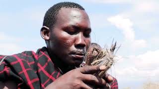 Utalii Wa Ndaniinternal Tourism Tanzania