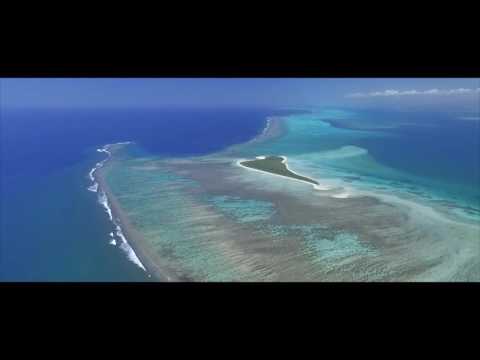 Vidéo: Le Mysticisme De L'île Verte Sur Le Don - Vue Alternative