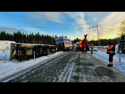 Video: 7 grunner til å besøke Skandinavia