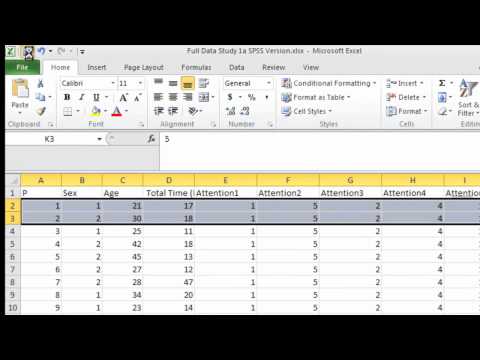 Importing Data from Excel into SPSS/PASW