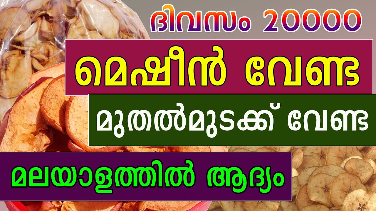 Dried Apple Chips Business Idea Malayalam Best business ideas Malayalam Dry Fruits Business