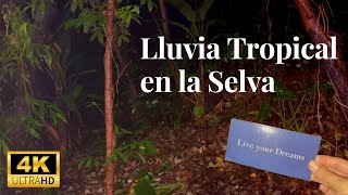 Sonido de LLUVIA RELAJANTE 🌧LLUVIA TROPICAL EN LA SELVA🌴4K 😴LLUVIA PARA DORMIR💧LLUVIA TORRENCIAL