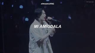 Suga | Agust D - 'Amygdala (D-Day Tour Concert)' || (Traducida al español) Resimi