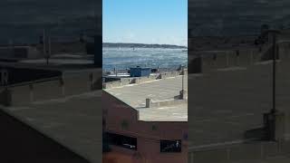 ظاهرة بحرية غريبة في ميناء بورتلاند مين Portland Maine marine phenomenon