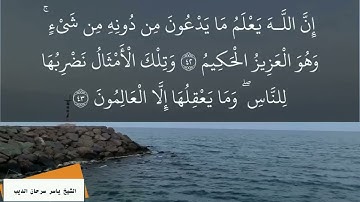 ما تيسر من سورة العنكبوت - الشيخ ياسر سرحان الديب