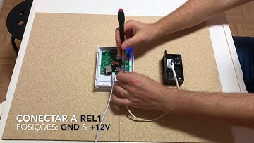 Como conectar a Homeit BOX a testas eléctricas para Exterior