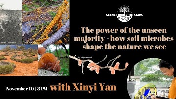 The Power of the Unseen Majority – How Soil Microbes Shape the Nature We See with Xinyi Yan | SUTS