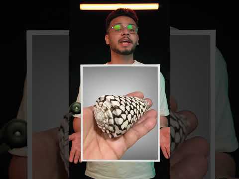 معلومات غريبة ممكن تنقذ حياتك الجزء 26 