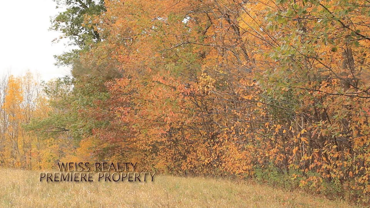 LAND FOR SALE Pierce County Ellsworth Legacy 175 Acres Weiss