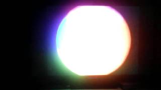 Wave To Wags Live Song