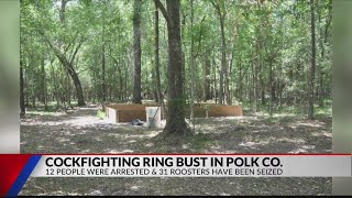 12 arrested, 31 birds seized in East Texas cockfighting bust