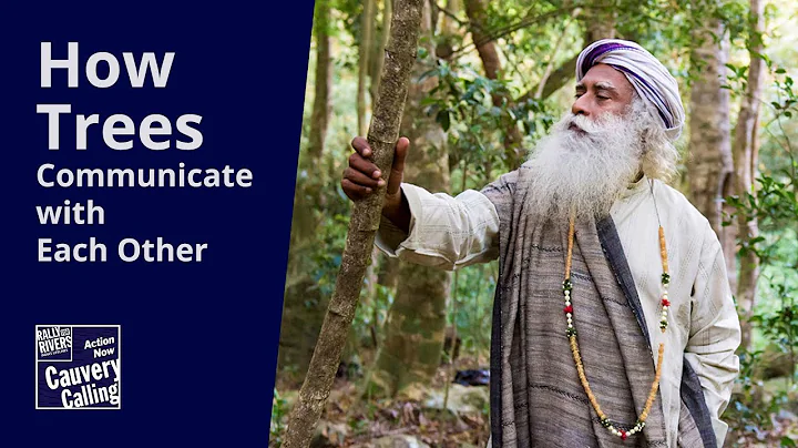 Why Planting Trees in Farms Is Better Than Planting Trees At Home #CauveryCalling