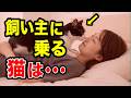 猫が飼い主に乗る4つの理由を獣医師が解説します