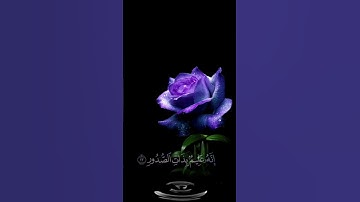 صباح الخير 💜اجمل حالات واتساب مقاطع قصيره💜قران كريم سورة الملك وأسروا قوالكم او اجهروا به💜بدون حقوق