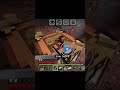 18th short of minecraft survival
