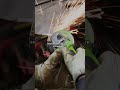 This is our ASMR  #greenworks #powertools #asmr