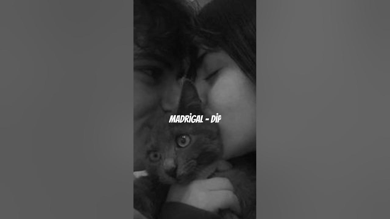 Madrigal - Dip #madrigal #müzik #şarkı #music #song #shorts #keşfet #shorts #spotify #tiktok #lyrics Madrigal - Dip #madrigal #müzik #şarkı #music #song #shorts #keşfet #shorts #spotify #tiktok #lyrics