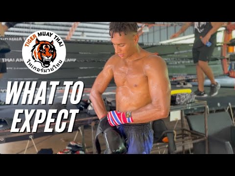 I went to THAILAND And Trained 6 Weeks at TIGER MUAY THAI