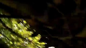 DJI F450 E300 Naza M V2 Flyaway & Crash