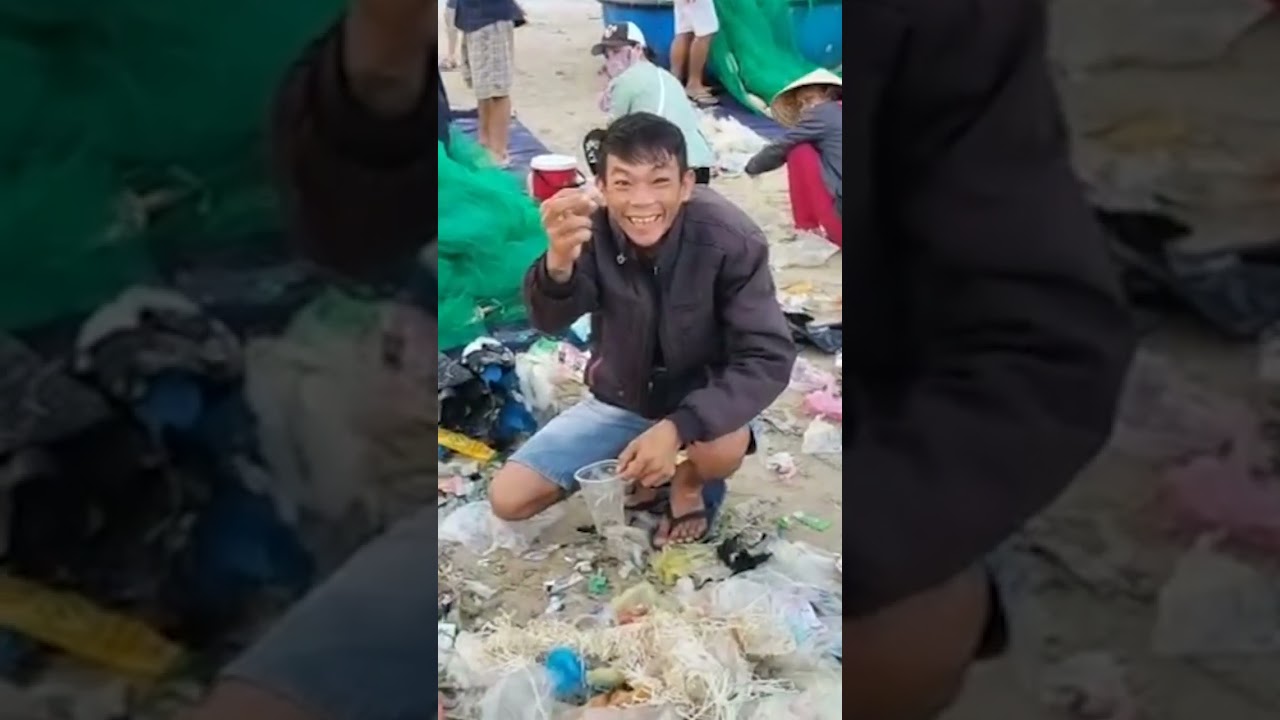 Ngư dân Bình Định bới rác tìm tôm hùm giống