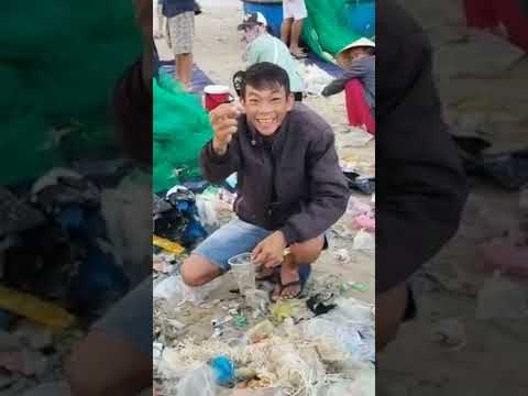 Video Ngư dân Bình Định bới rác tìm tôm hùm giống #shorts - youtube