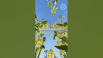 سورة البقرة الآية [50] / سبحان الله العظيم 🌱