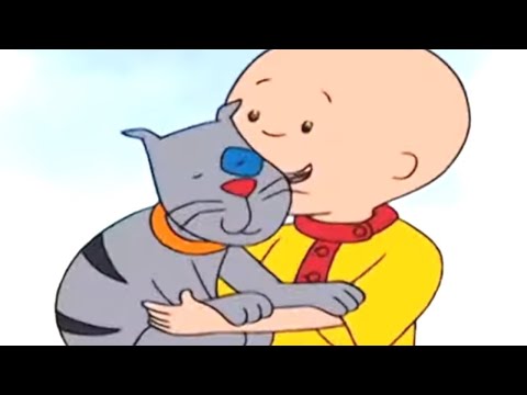 Caillou aime Gilbert | Caillou en Français