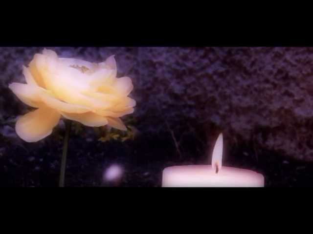 Secret Illusion - Born Once Again