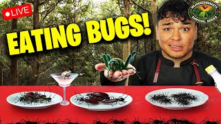 EATING BEETLES AND GRASSHOPPERS - DAY SEVEN