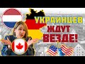 БЕЖЕНЦЕВ С УКРАИНЫ ЖДУТ ВЕЗДЕ! КАНАДА ДЛЯ УКРАИНЦЕВ ОТКРЫТА! Польша - Канада.