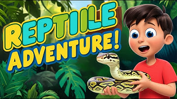 🦎🐍 Reptile Adventure for Kids! | Learn About Different Types of Reptiles 🐊🐢