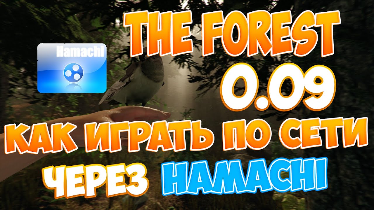 Как играть в форест через хамачи Как играть в форест через хамачи