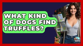 What Kind Of Dogs Find Truffles? - Europe Travel Pros