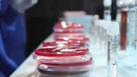 2018  Lung Cancer Update for Patients by the CAP-IASLC-AMP