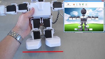 JD Servo Fine Tune Humanoid Robot