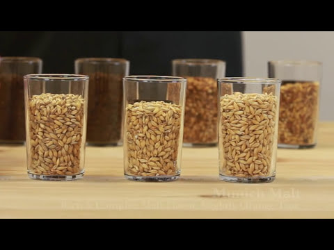 all-grain-recipe-design-brewing-tv