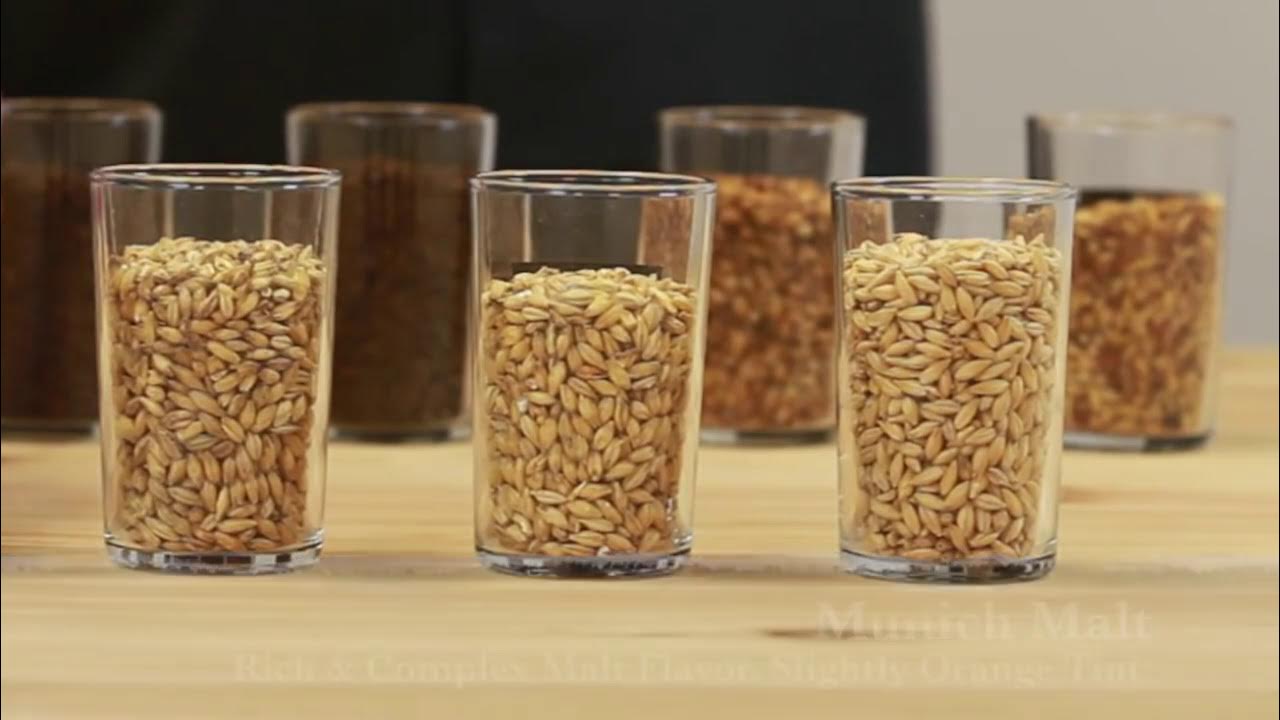 How to Formulate Beer Recipes for AllGrain Homebrewing YouTube