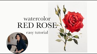 Watercolor Rose Easy Flowers Painting Tutorials