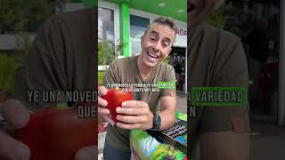 👉 Este pimiento es una LOCURA (doble pared, sin manchas y cultivado en Asturias)