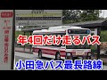 【激レア】年4回だけ運行!小田急バスの新宿～よみうりランドに乗車